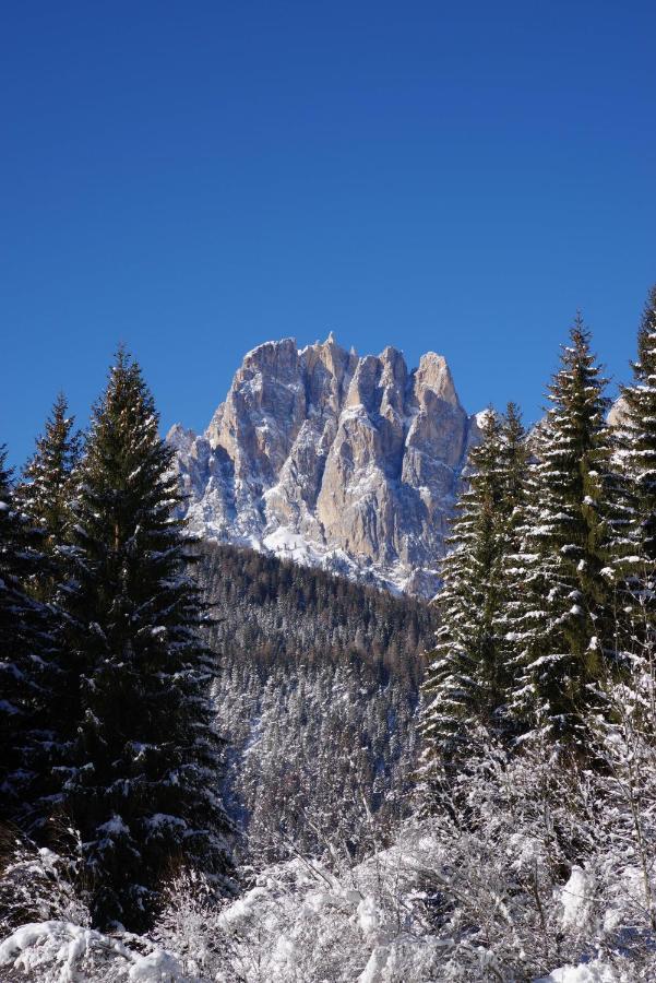 Chalet La Ciaseta Pozza di Fassa Exterior photo